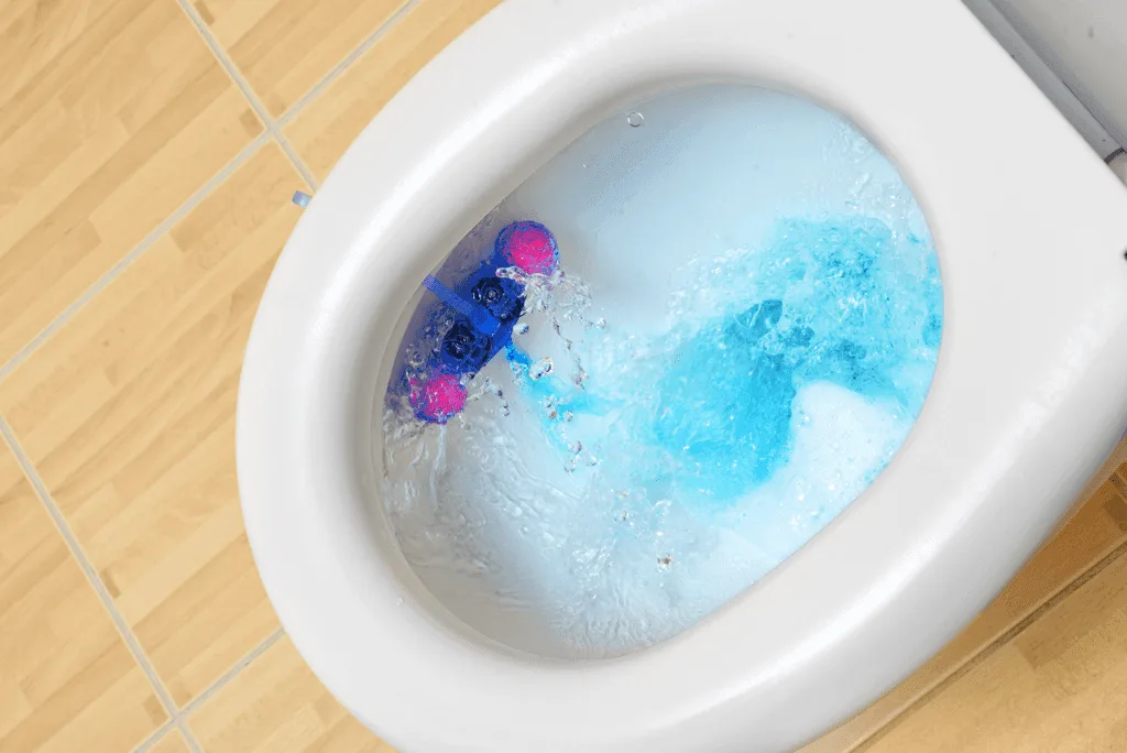 comment déboucher des toilettes