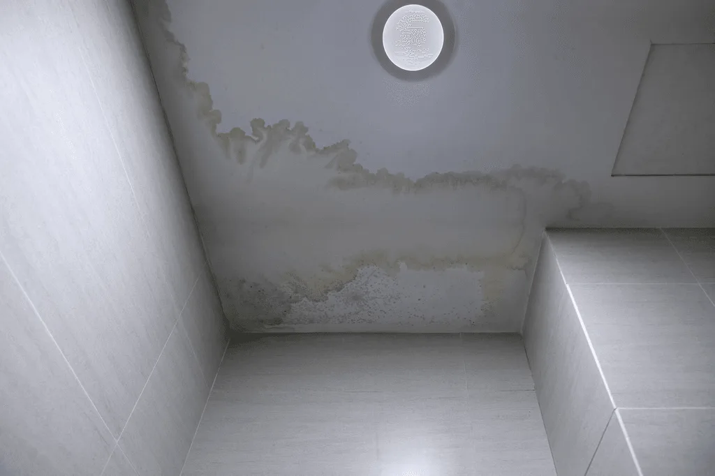 Comment trouver des fuites d'eau dans votre maison ?