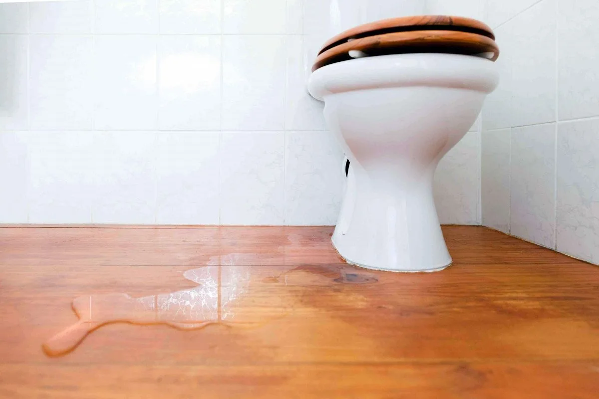 Fuite WC : que faire pour stopper l’écoulement et éviter les dégâts