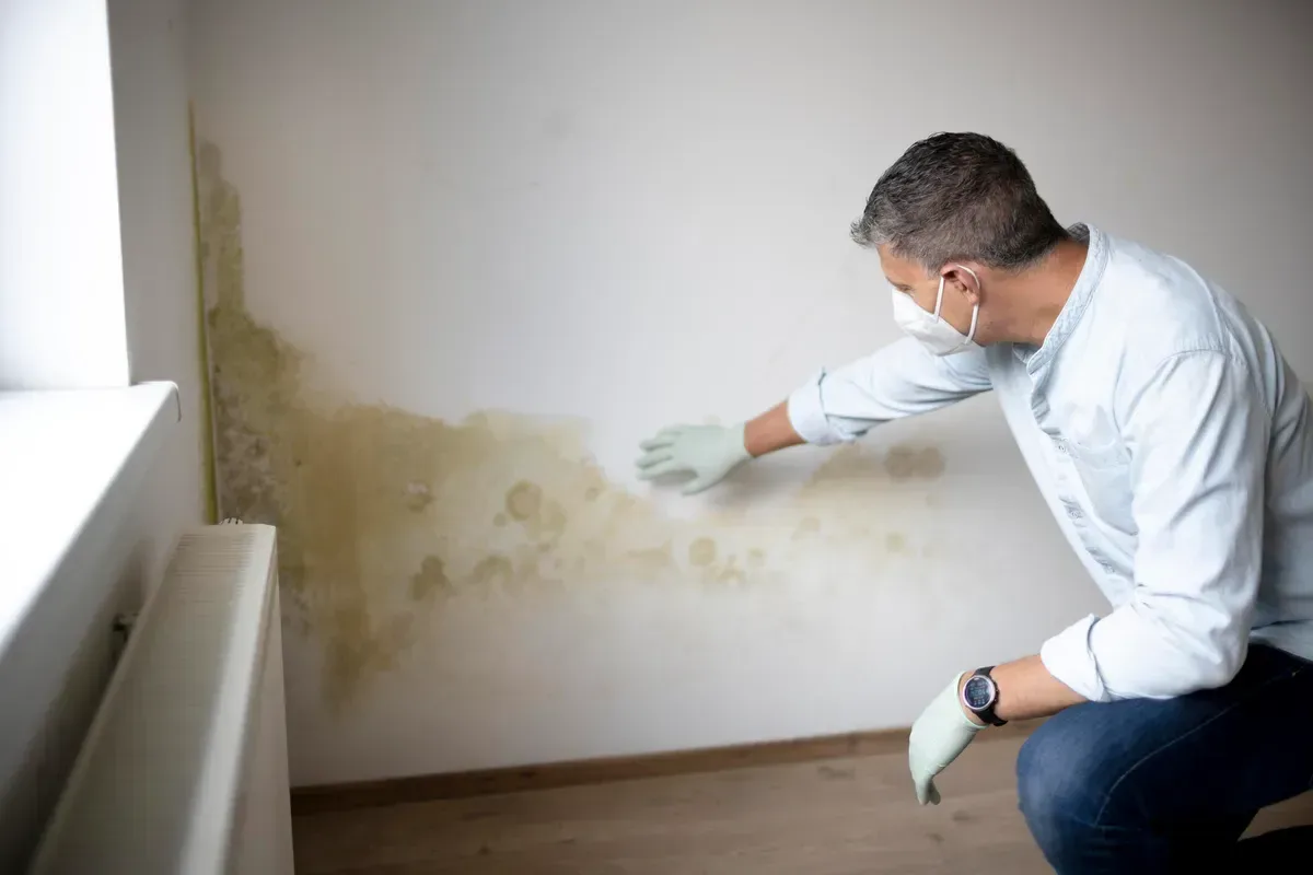 Humidité sur le mur de la salle de bain : causes possibles et solutions
