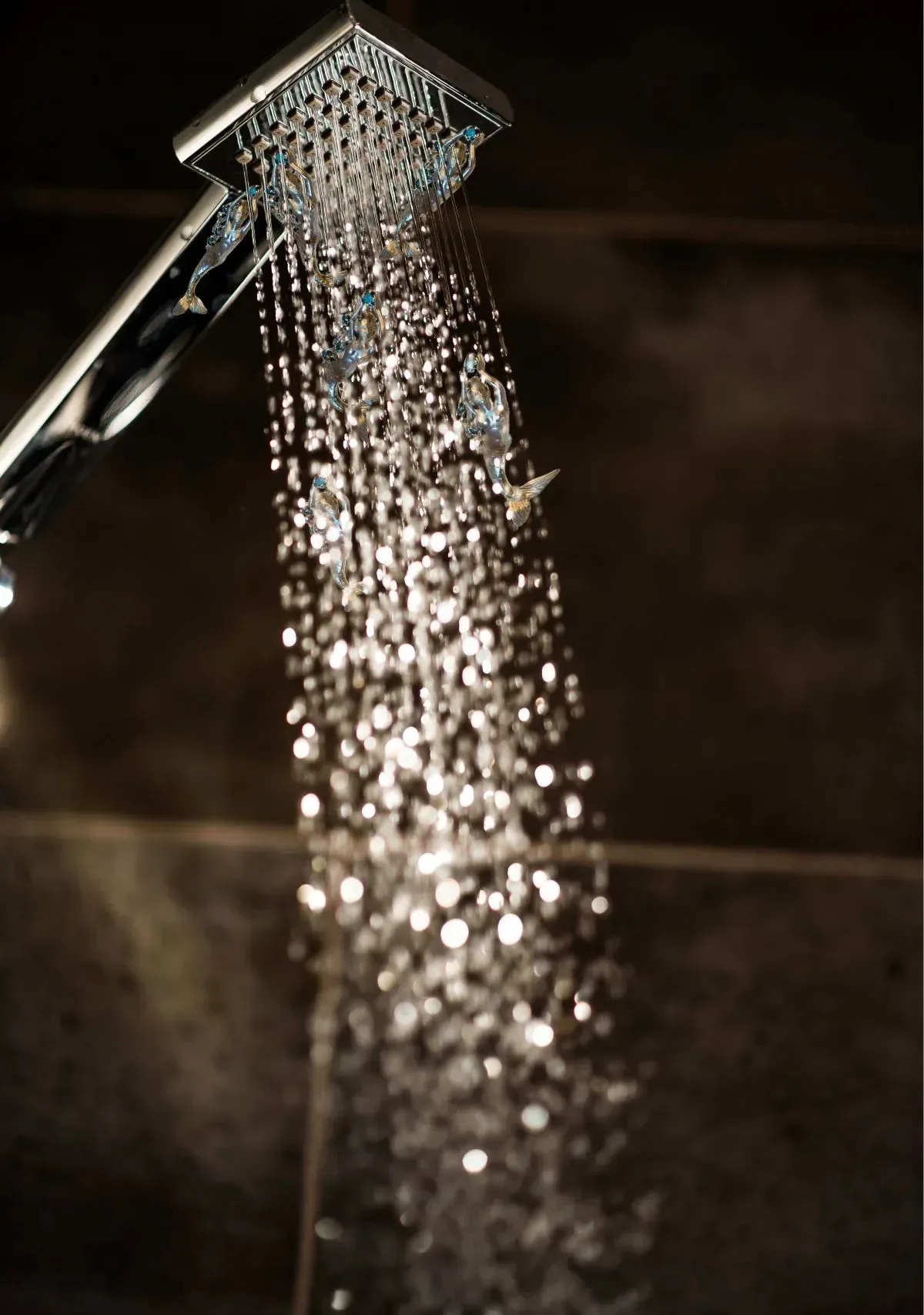 Pommeau de douche