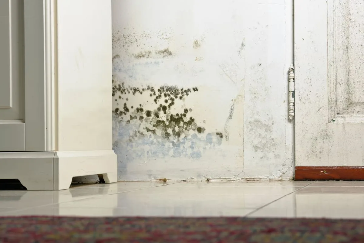 Signe qu’une maison a un problème d’humidité lié à la plomberie