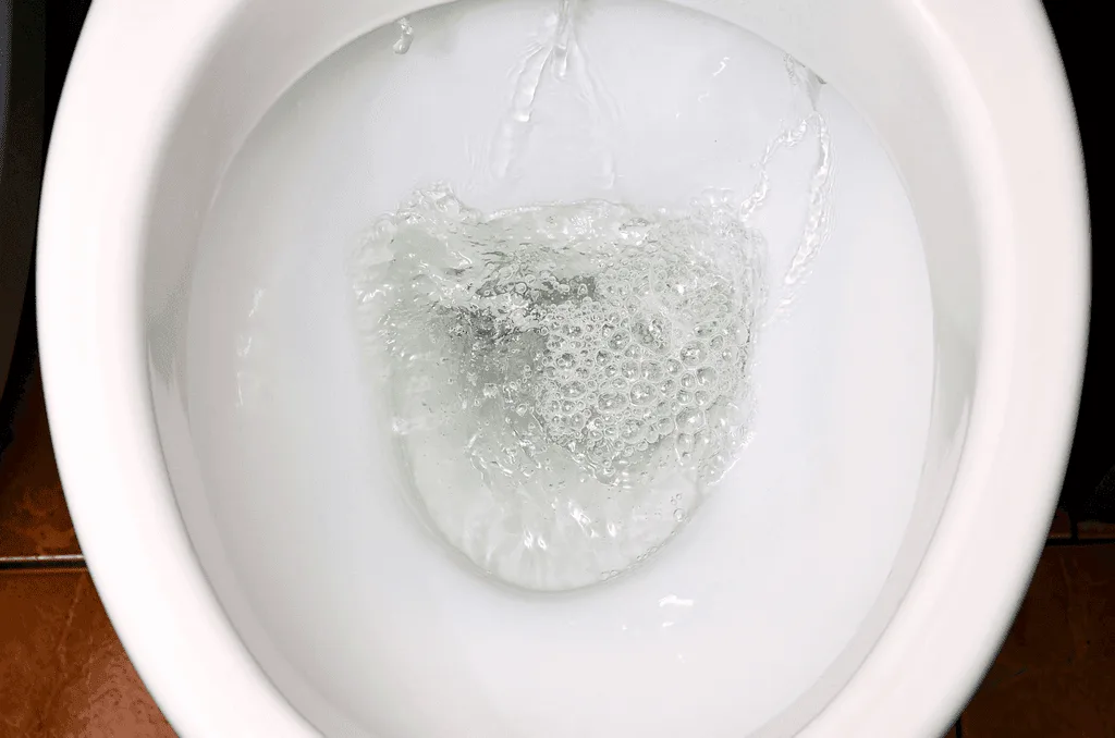Toilettes avec la chasse qui coule