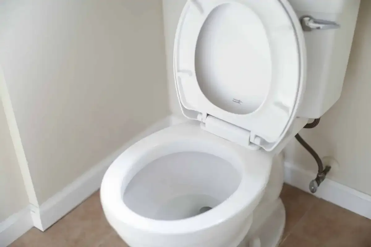 Toilettes blanches sans bride
